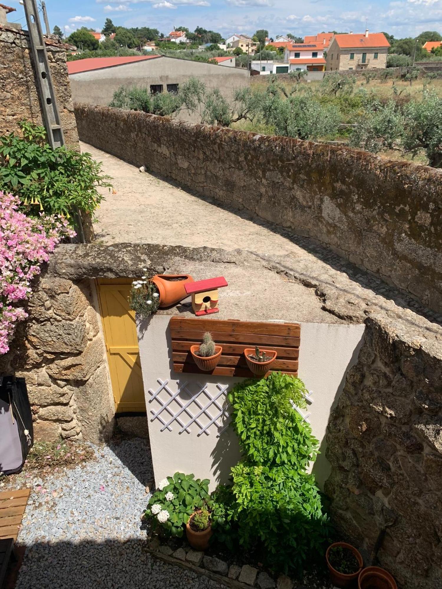 Encanto Casa Com Jacuzzi Open Space Holiday home Tinalhas